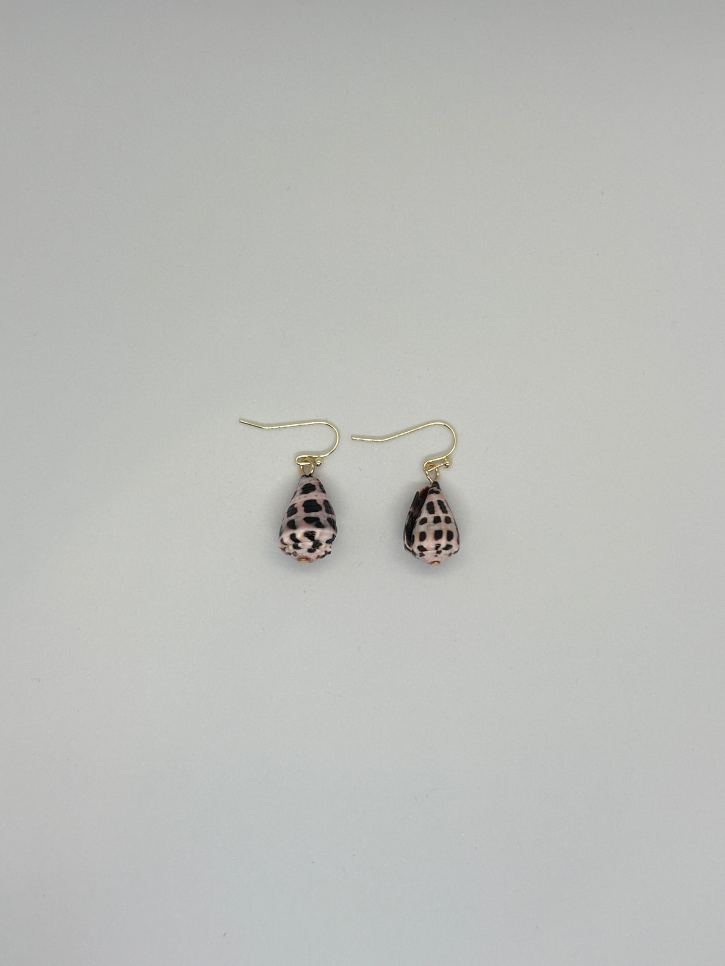 Hebrew cone shell earring