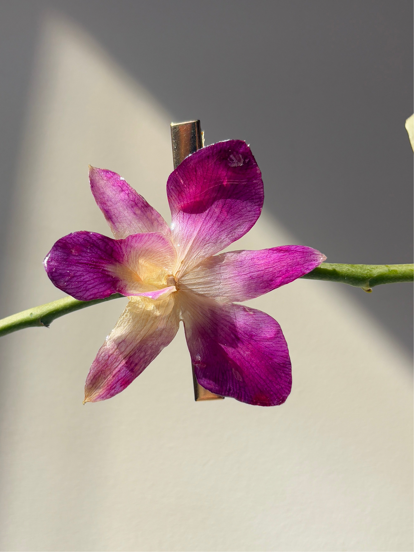 Purple orchid Hair clip