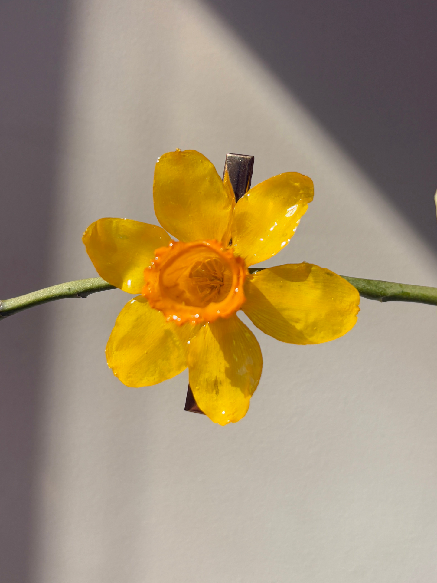 Daffodil Hair clip