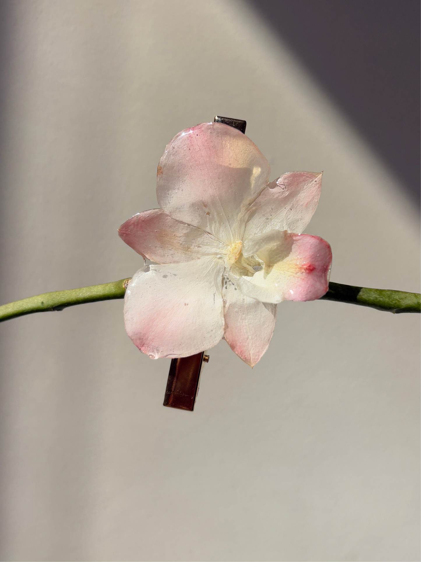 Pink Dendrobium hair clip