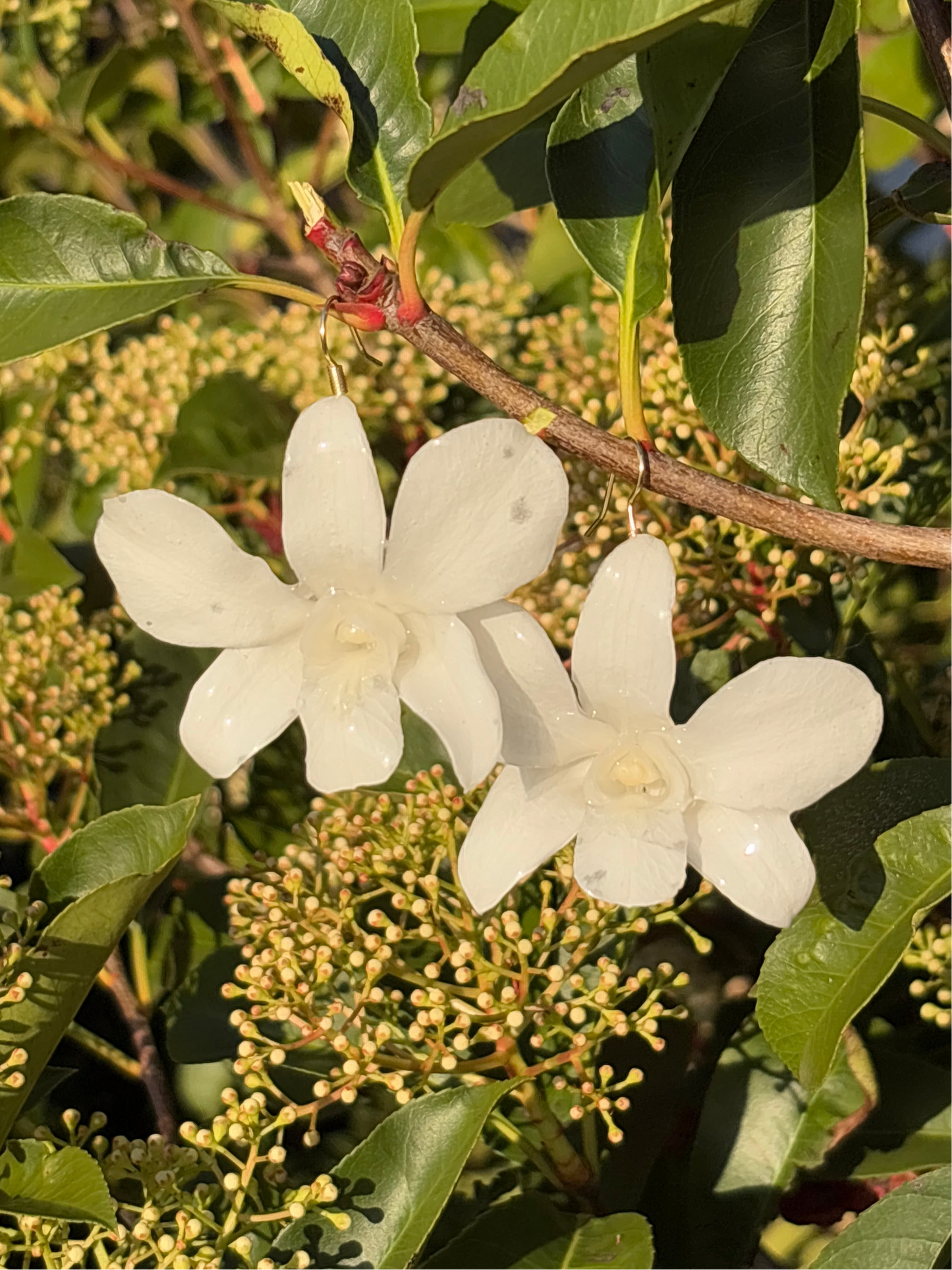 White orchid earrings