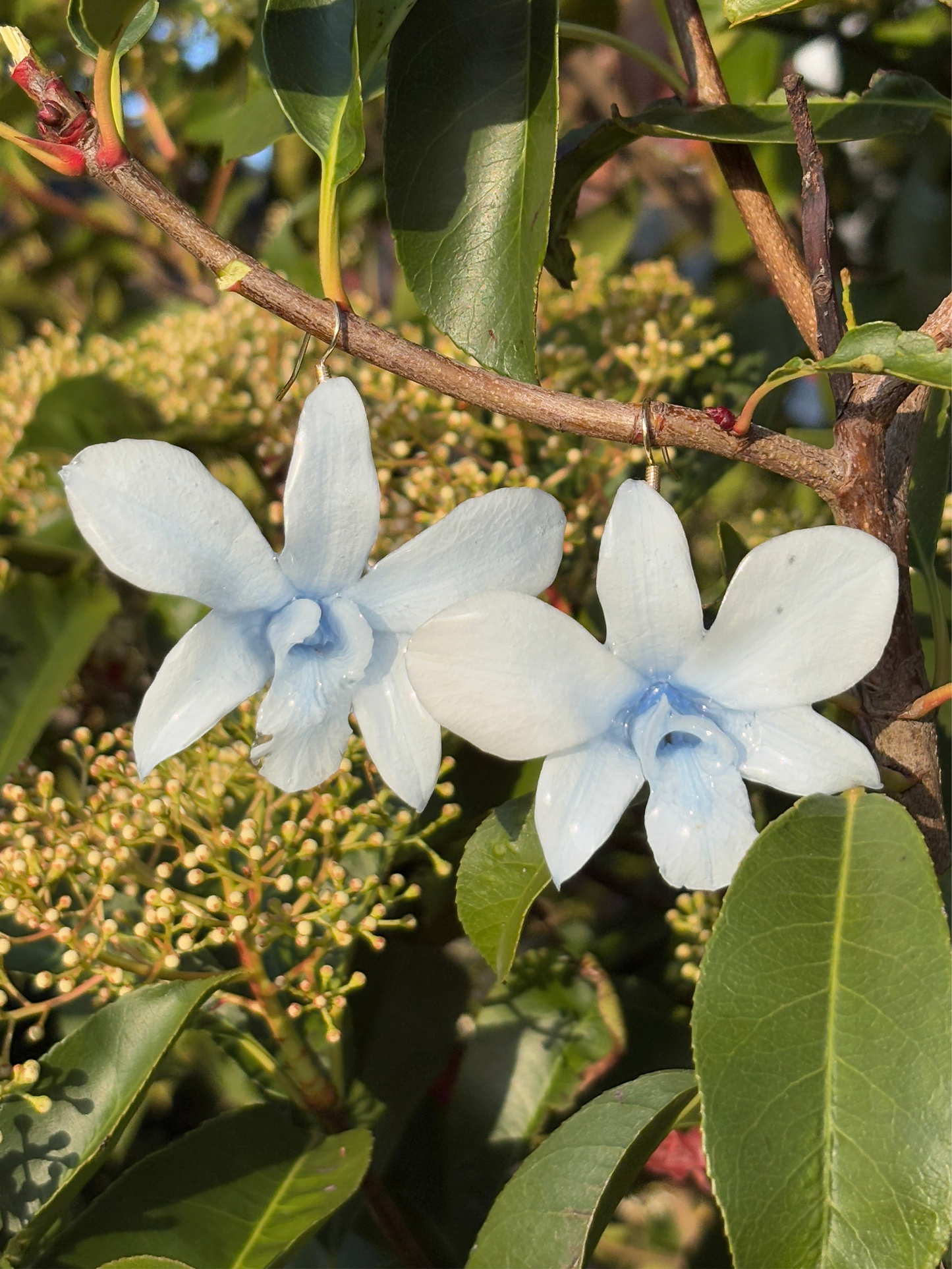 Baby blue orchid earrings