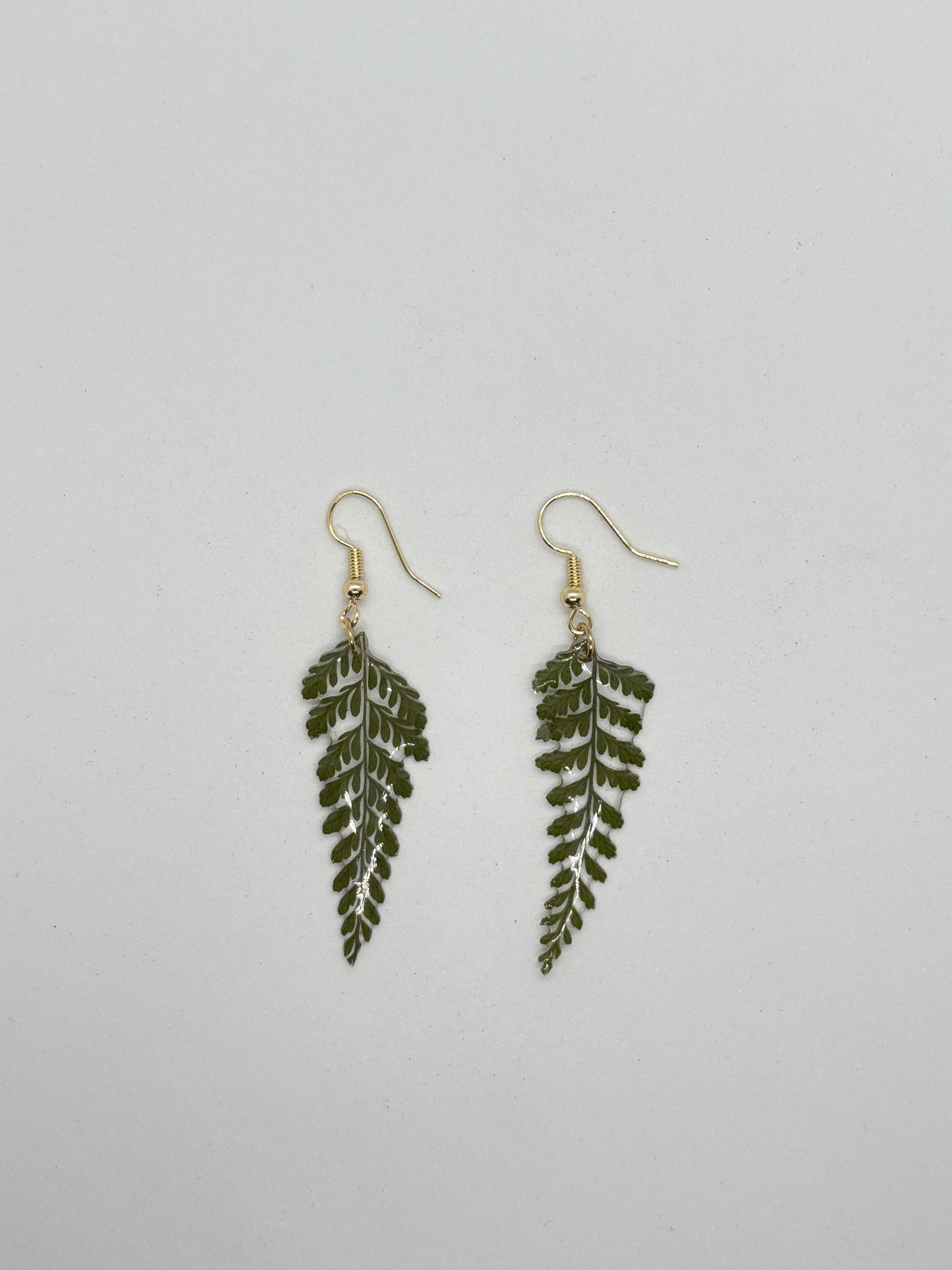 Fern earrings