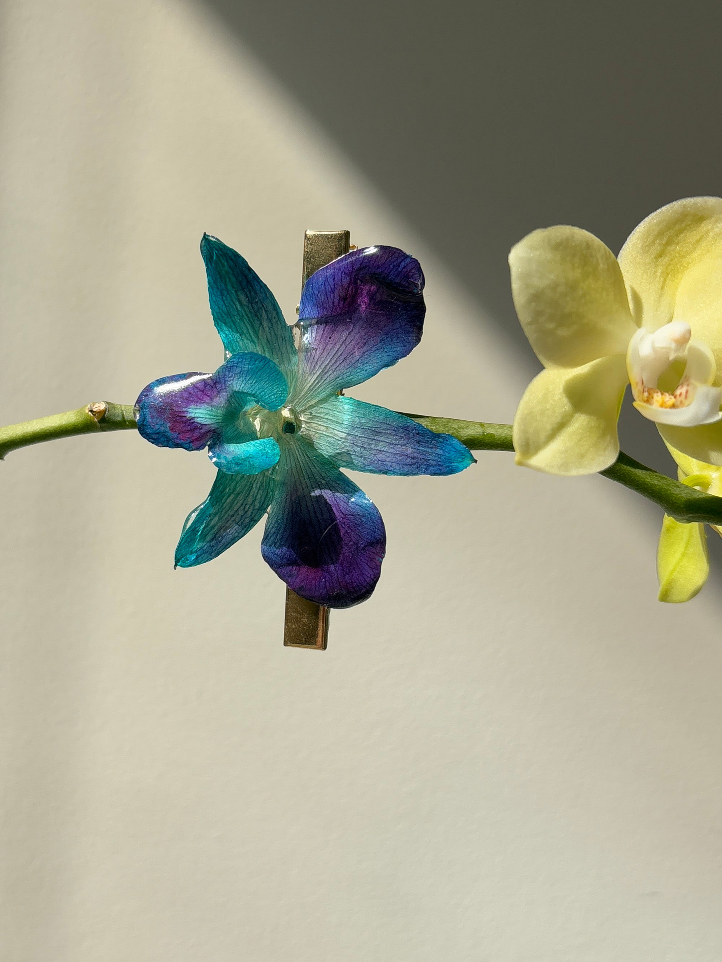 Turquoise orchid hair clip