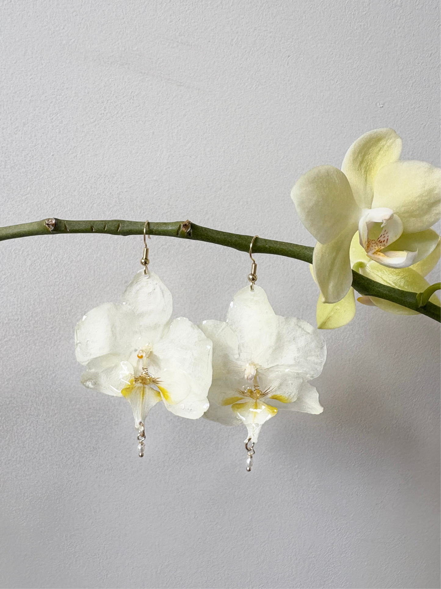 White Phalaenopsis Orchid earrings with white fresh water pearls