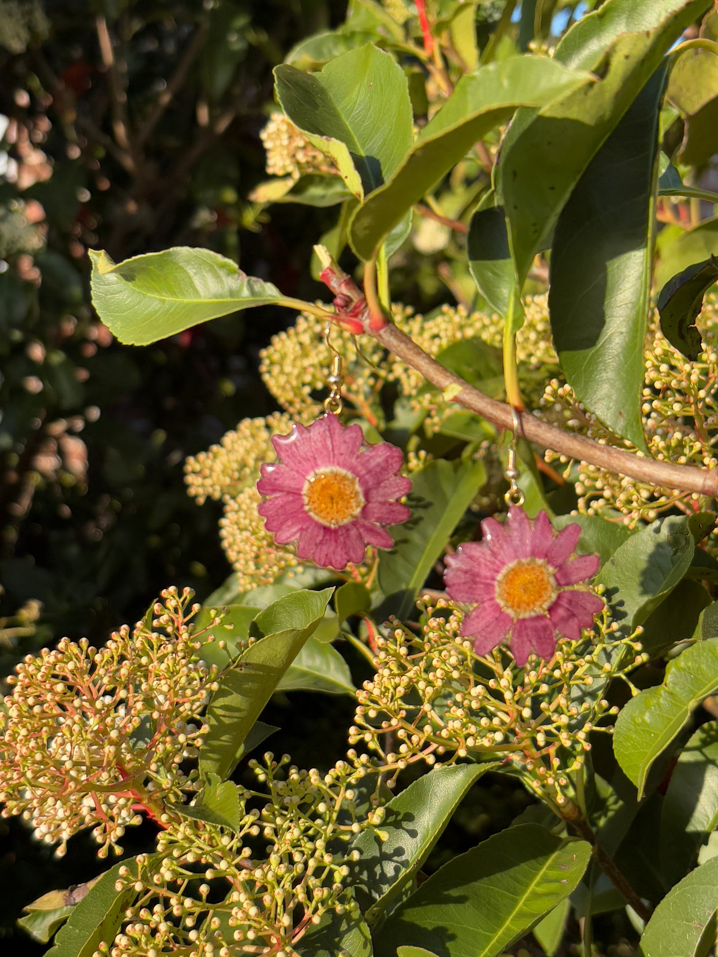 Plum daisy earring