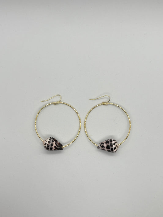 Hebrew cone shell hoops