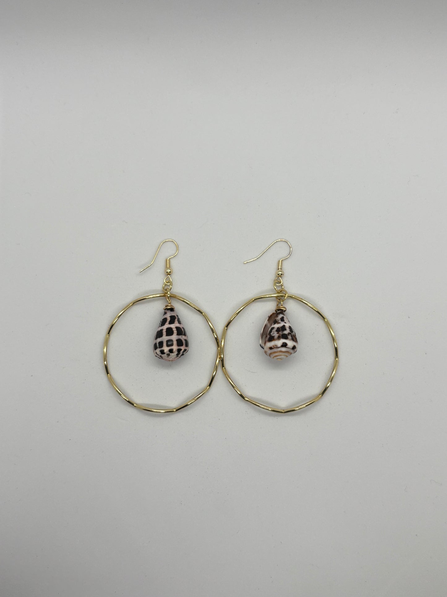 Hebrew cone shell hoops