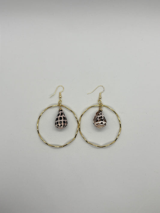 Hebrew cone shell hoops