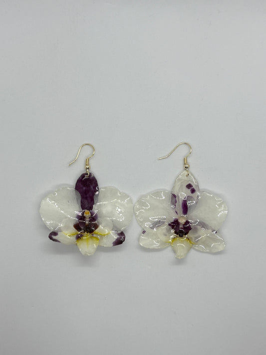 White with purple polka dot moth orchid earrings