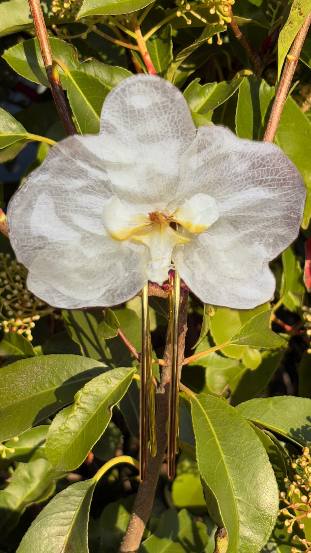 XL white orchid hair pin