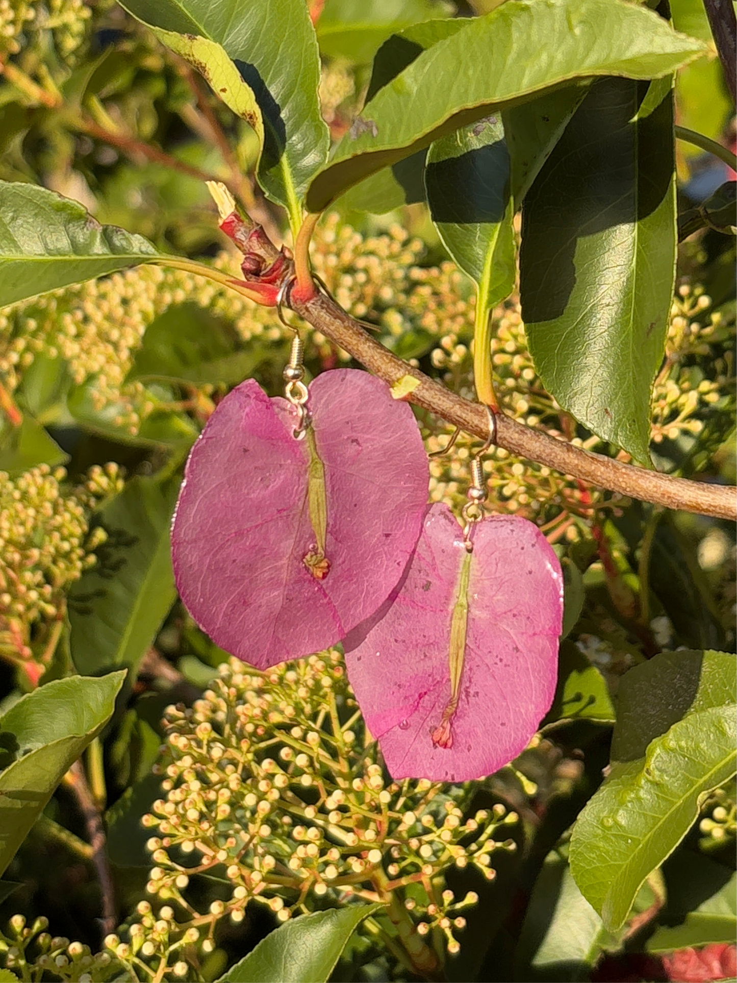 Bougainvillea single drop earrings