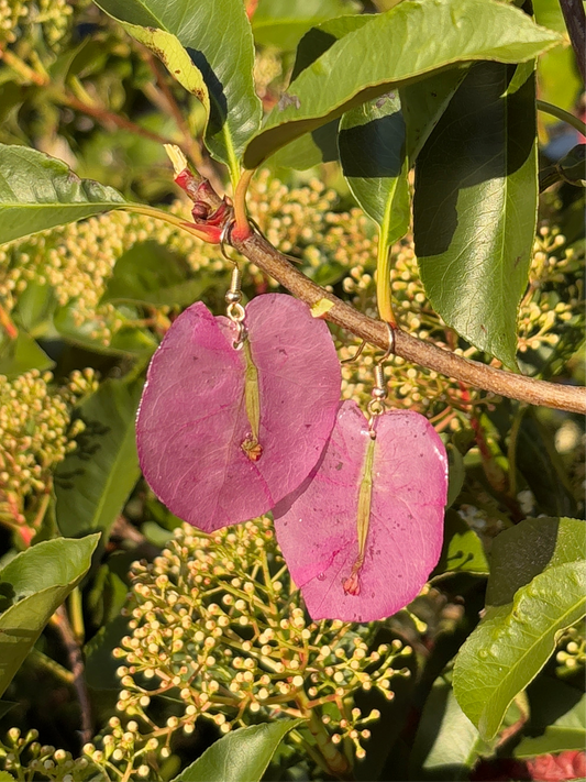 Bougainvillea single drop earrings