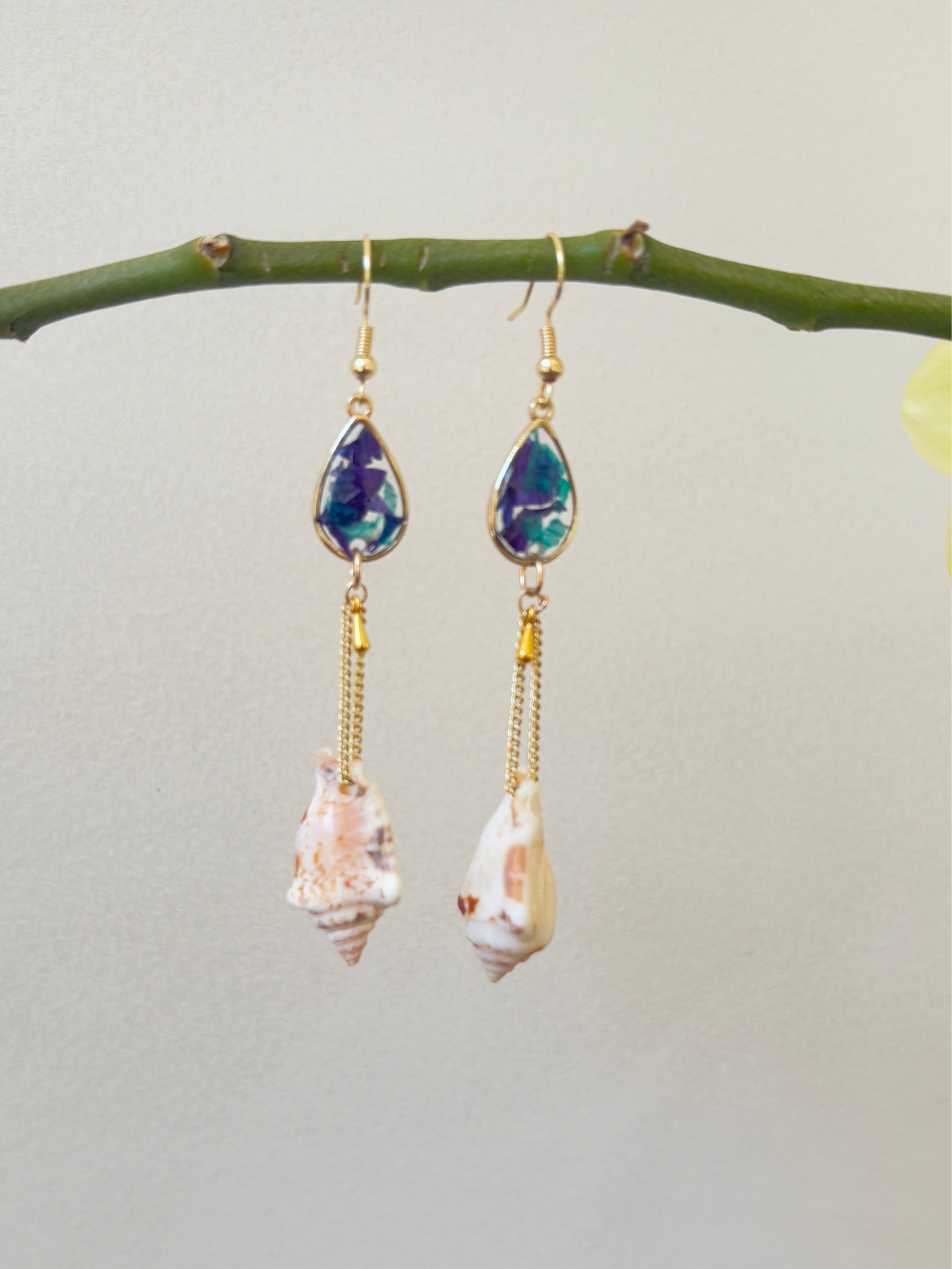 Aurora drop x conch shell