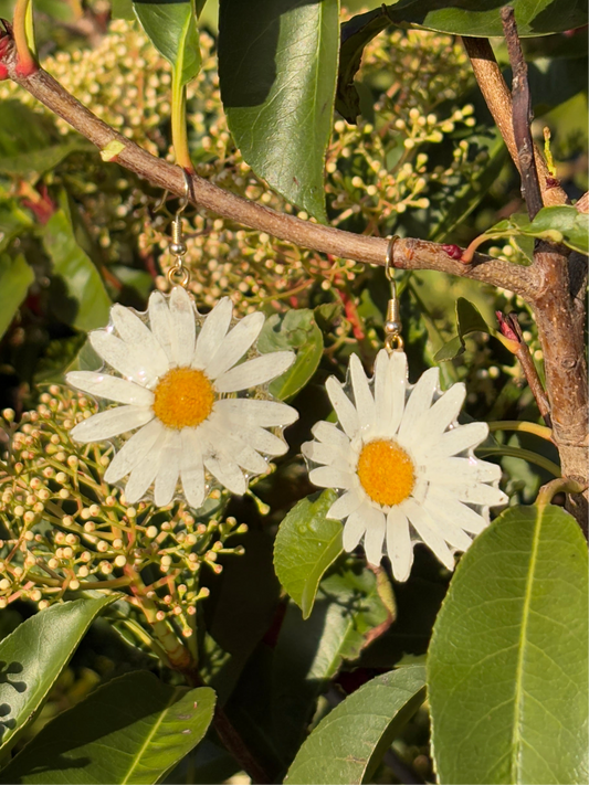 White daisy earrings