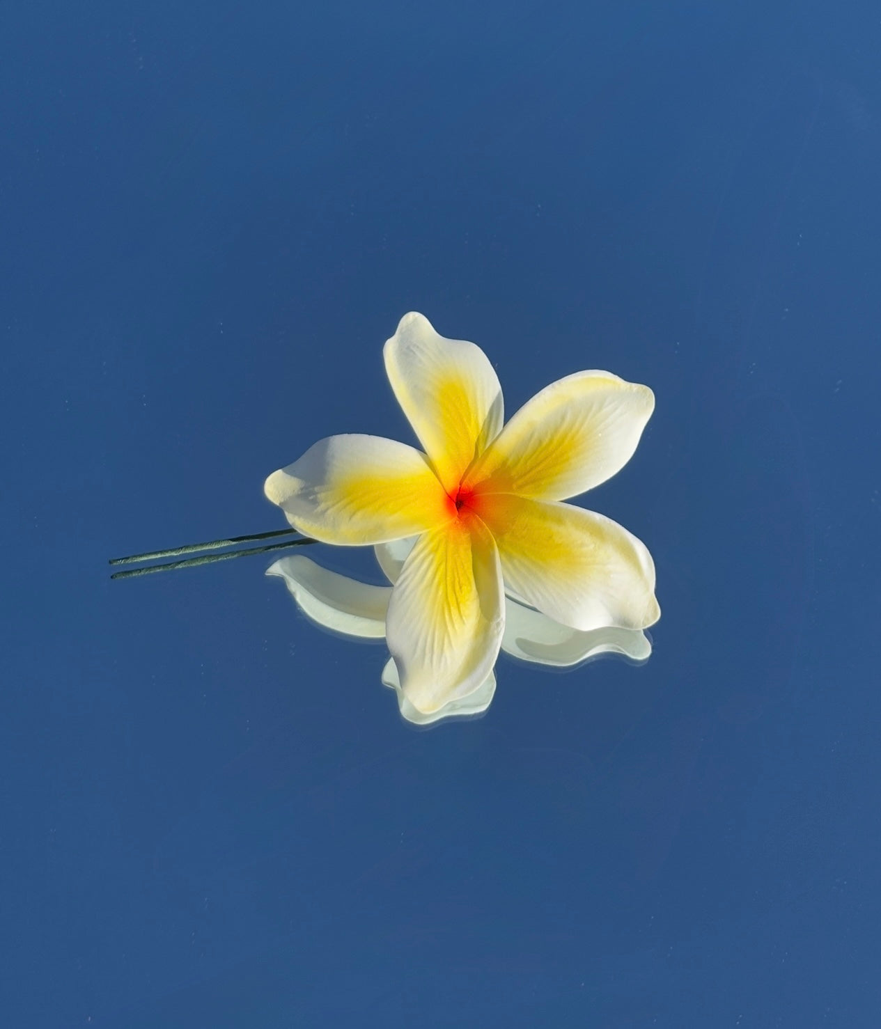 White & yellow