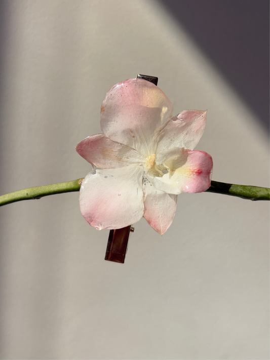 Pink Dendrobium hair clip