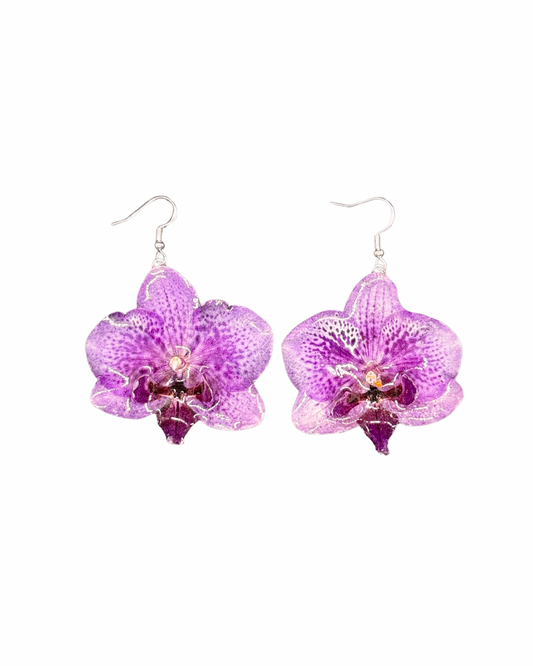 Purple moth orchid earrings
