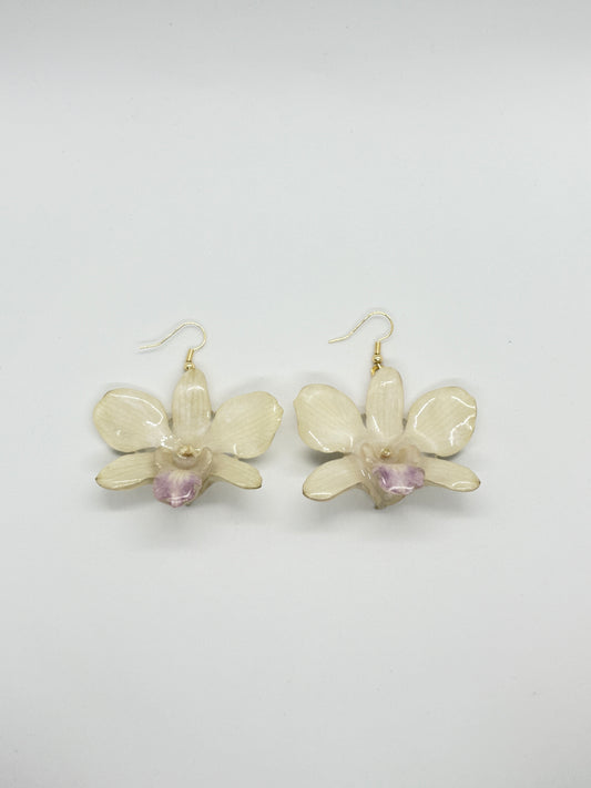 Mini white dendrobium orchid earrings