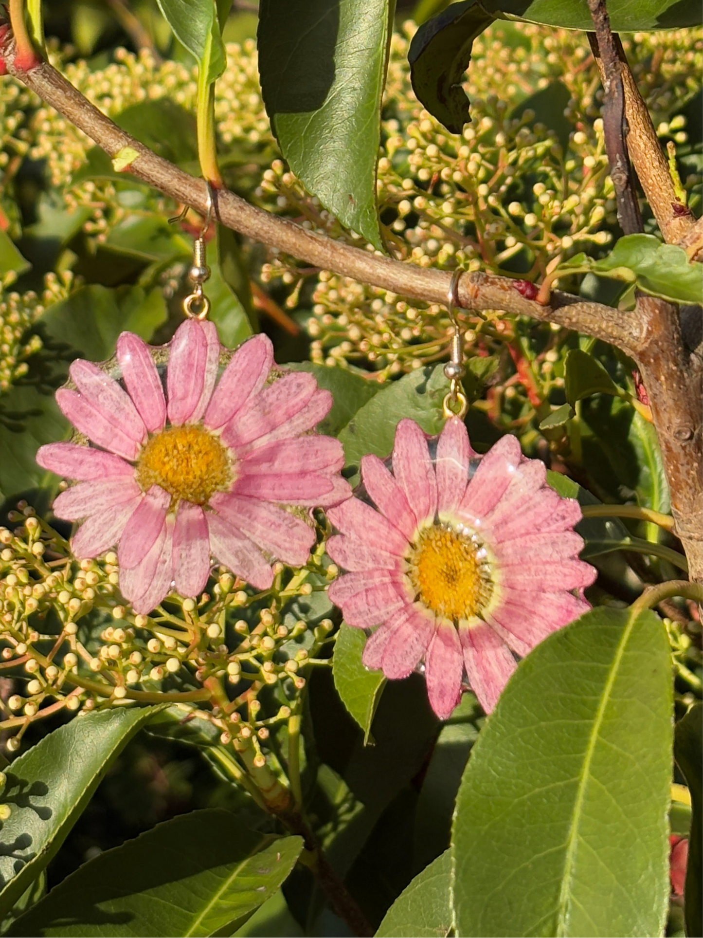 Mauve daisy Earrings