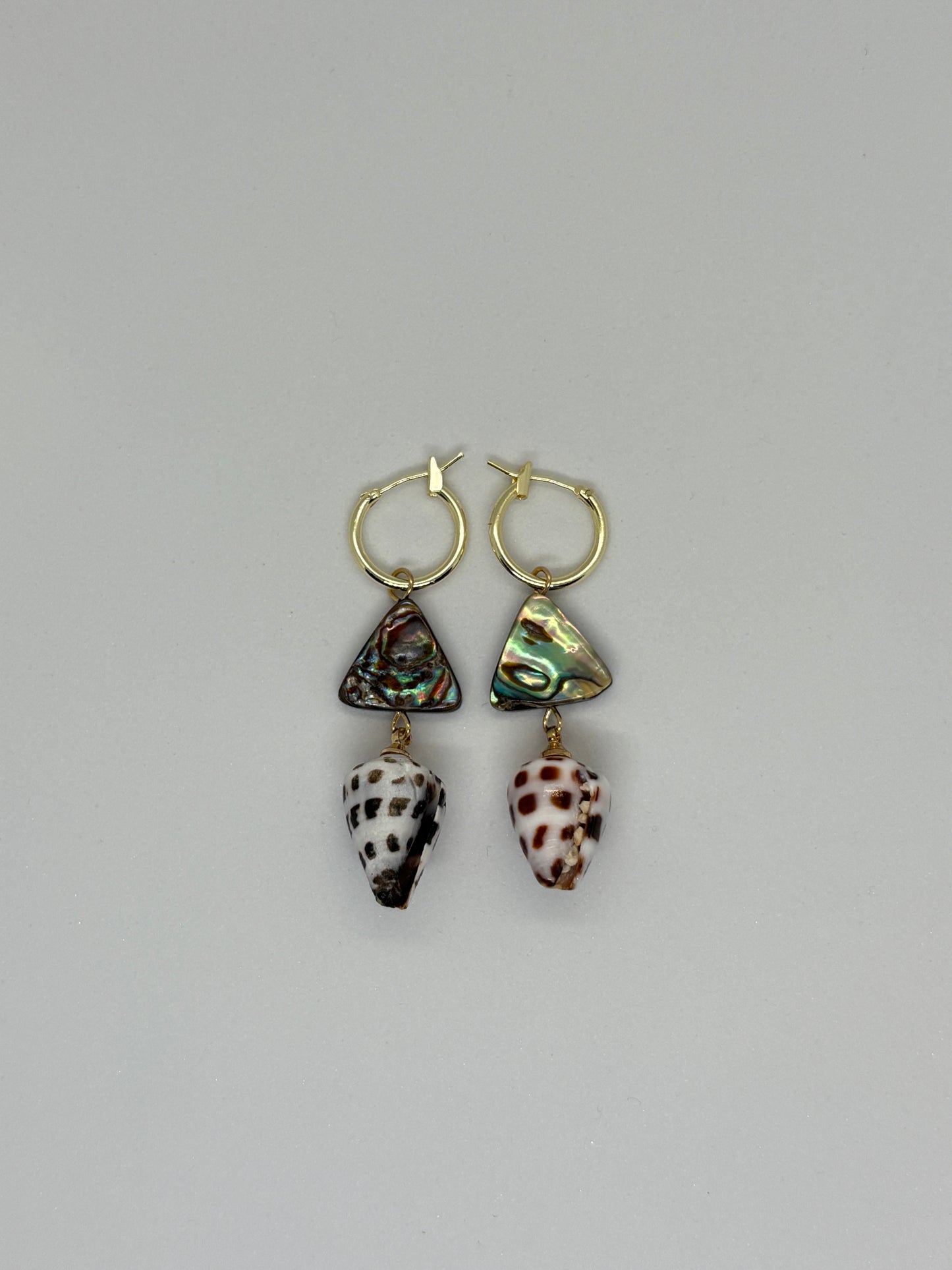 Paua x Hebrew shell earring