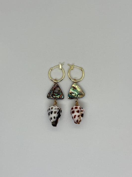 Paua x Hebrew shell earring