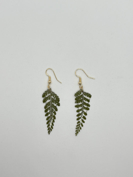 Fern earrings