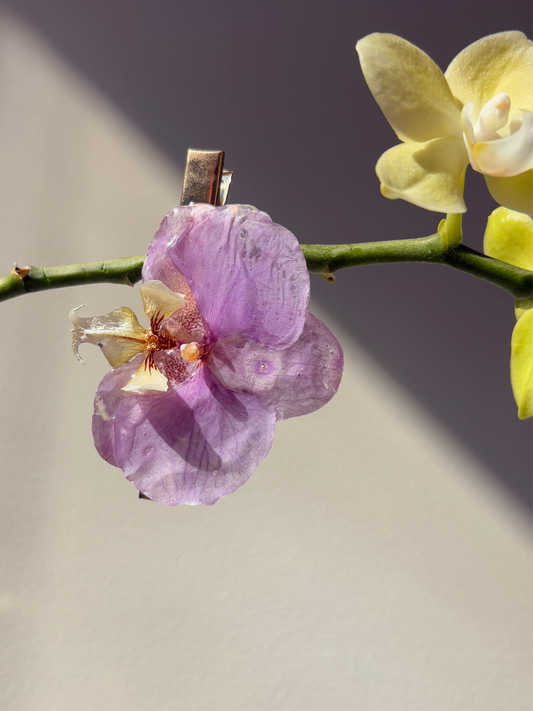 Purple Phalaenopsis hair clip