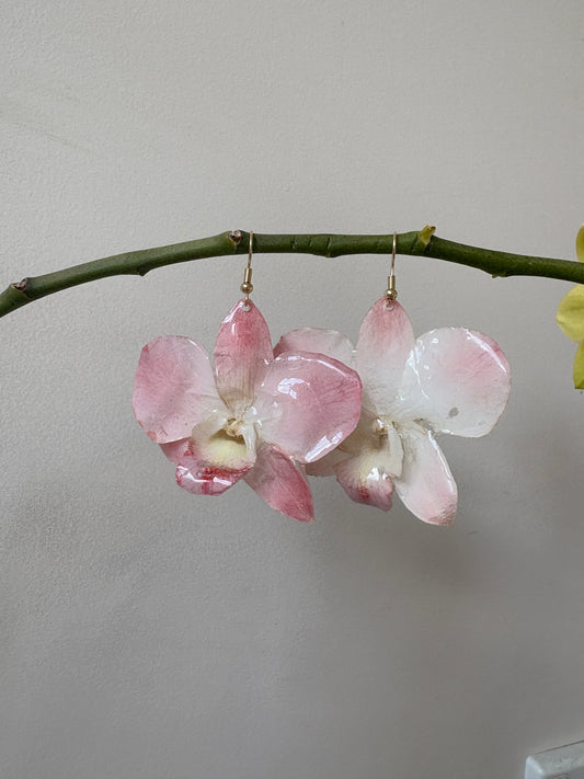 Dendrobium pink and white earrings