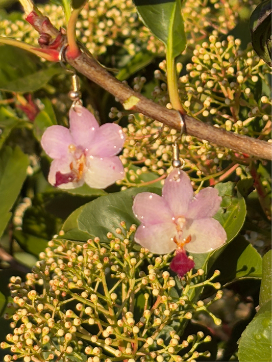 Mini orchid earrings