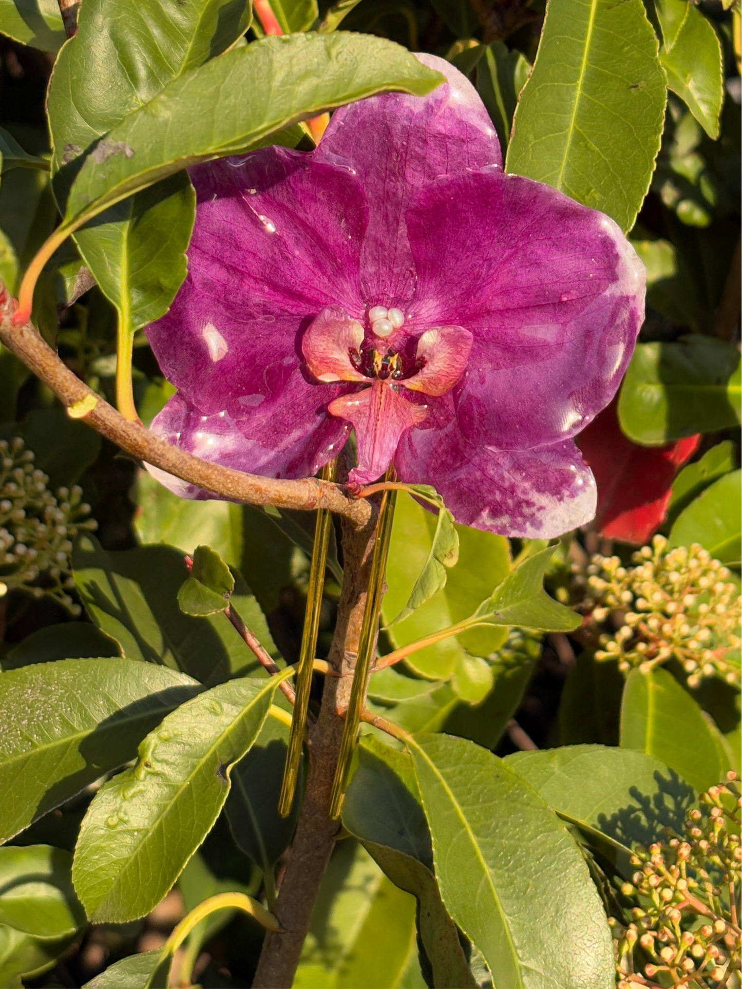 XL purple orchid hair pin