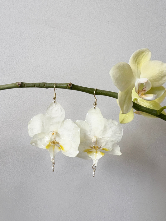 White Phalaenopsis Orchid earrings with white fresh water pearls