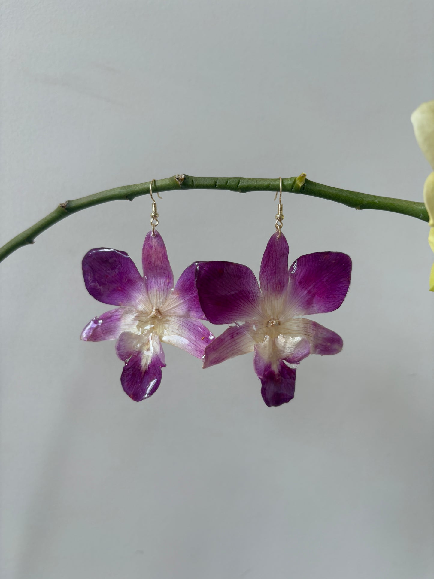 Purple singapore orchid Earrings