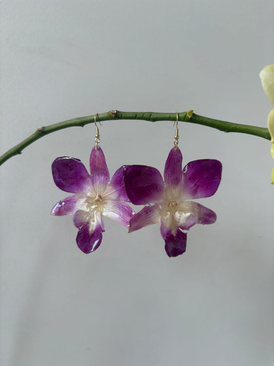 Purple singapore orchid Earrings